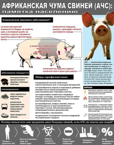 Гепатит Е