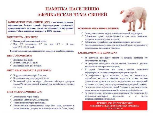 ПАМЯТКА