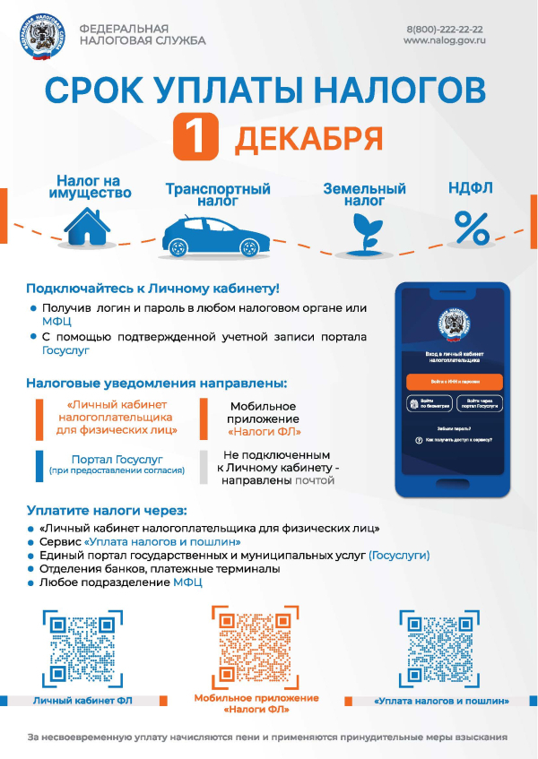 СРОК УПЛАТЫ НАЛОГОВ