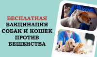 Объявление!!!